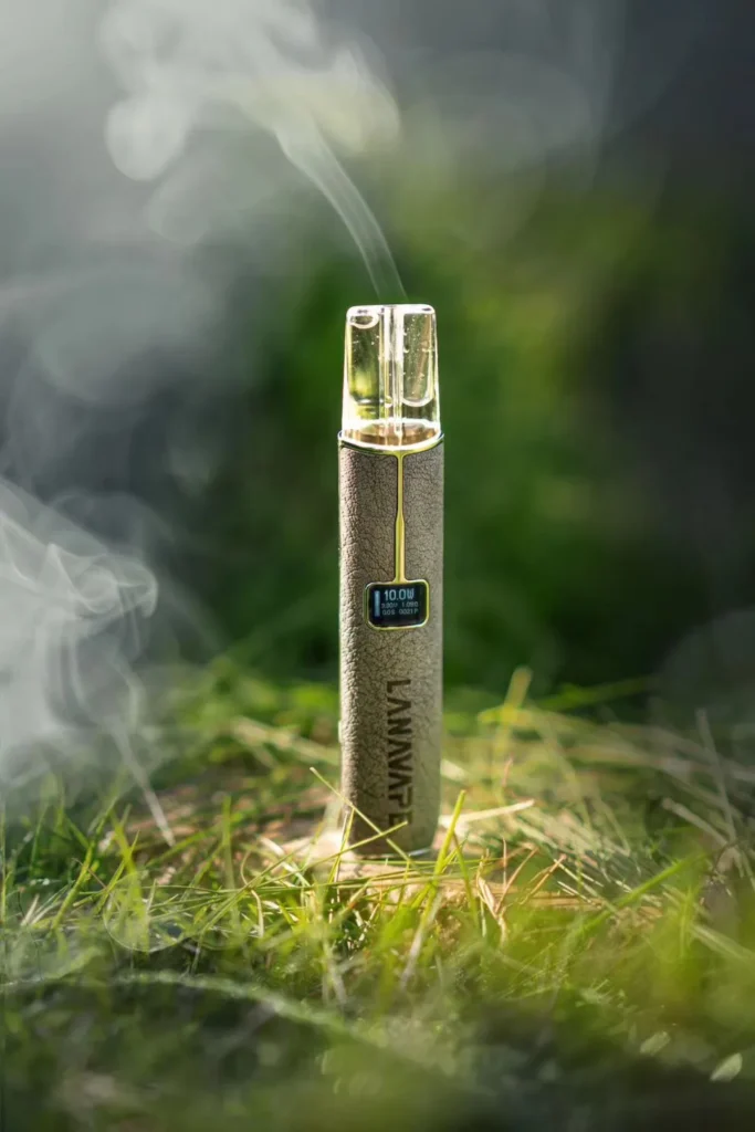 LANA 皮革主機 棕色